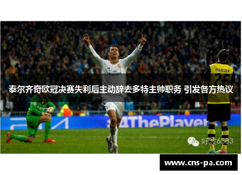 泰尔齐奇欧冠决赛失利后主动辞去多特主帅职务 引发各方热议 泰尔齐奇欧冠决赛失利后主动辞去多特主帅职务 引发各方热议